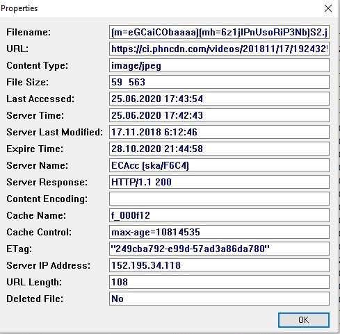 How To See Cached Pages And Files From Your Browser image 9