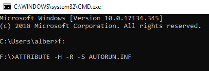 How to Remove Shortcut Virus in USB using CMD image 4
