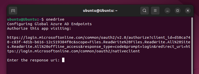 How to Access and Use OneDrive on Linux image 4