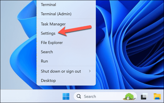 How to Enable or Turn Off Search Highlights in Windows 11 image 2